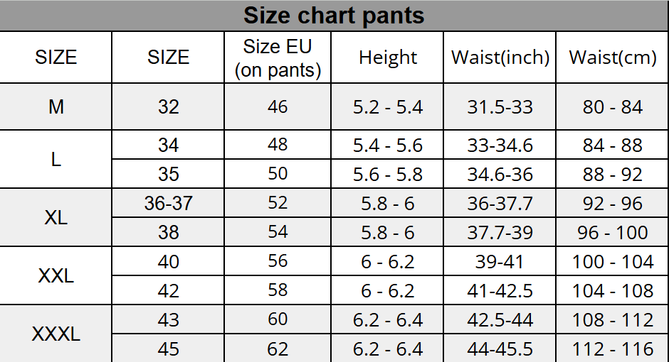 REIS Work pants cargo Workwear for Men Strong work pants for every day